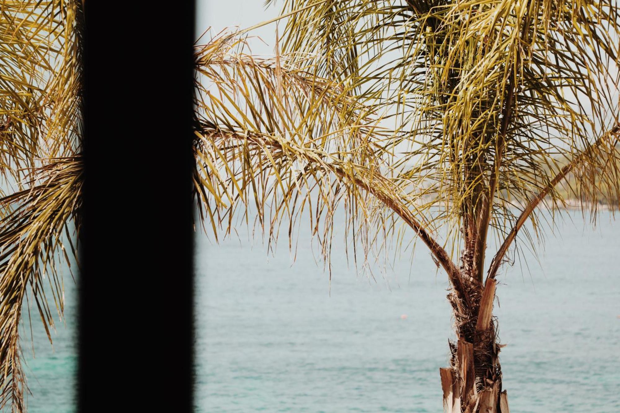 Oniro By Iliria Palace (Adults Only) Himare Luaran gambar